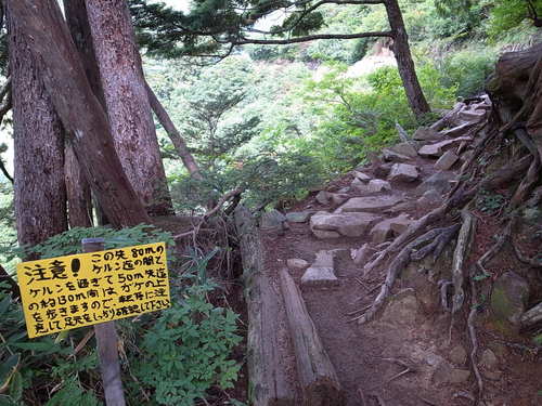 a0094280_17242177.jpg