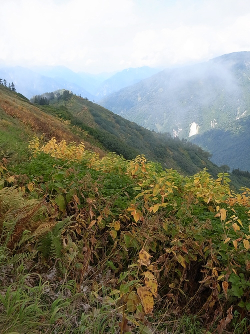 a0094280_17244118.jpg