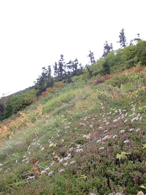 a0094280_17244690.jpg