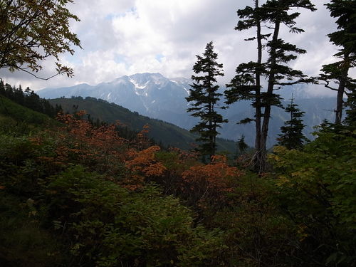 a0094280_17245488.jpg