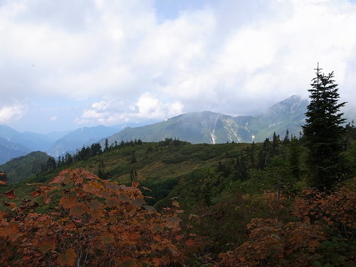 a0094280_17245883.jpg