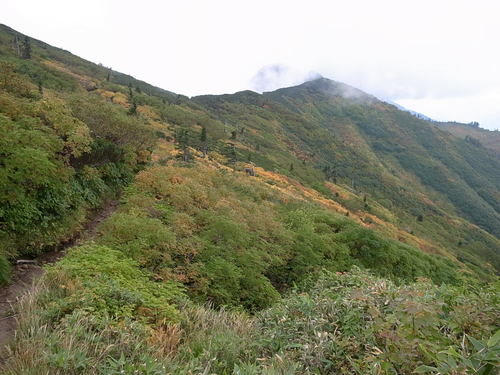 a0094280_1725348.jpg