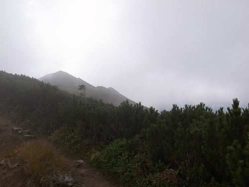 a0094280_1725731.jpg
