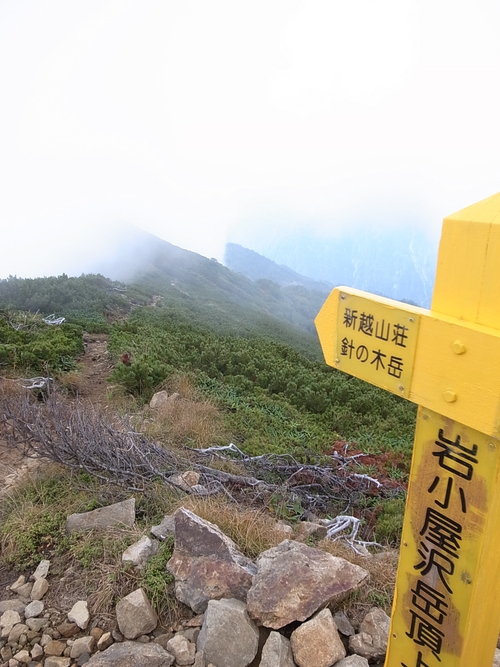 a0094280_17275391.jpg