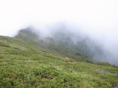 a0094280_17282486.jpg