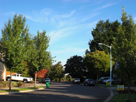 f0112080_1345458.jpg