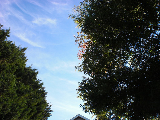 f0112080_1349781.jpg