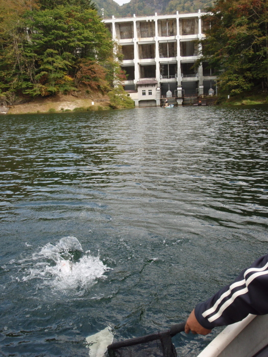 f0199881_5453092.jpg