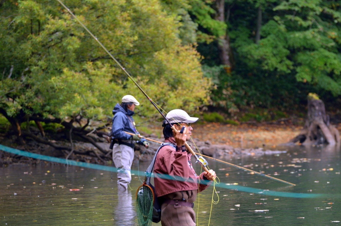 f0199881_547947.jpg