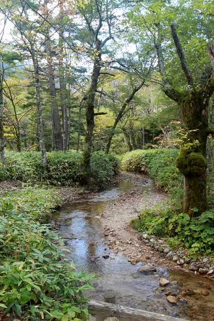f0238184_21534078.jpg
