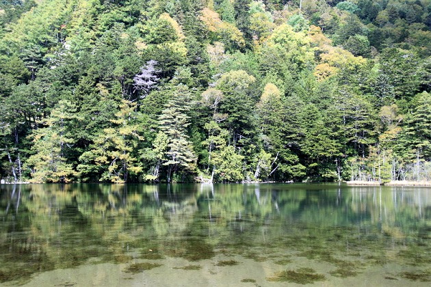 f0238184_2232976.jpg