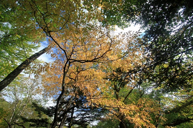 f0238184_2283380.jpg