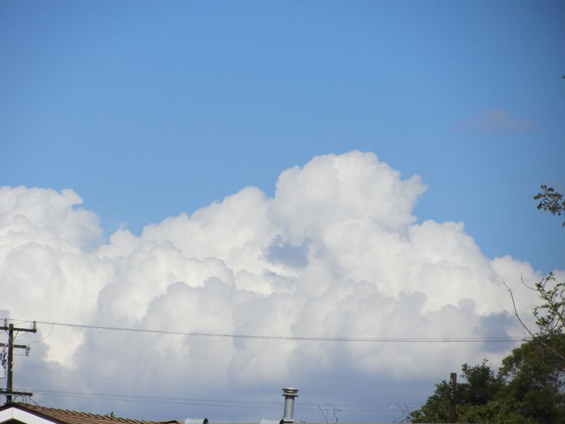 b0202185_14205257.jpg