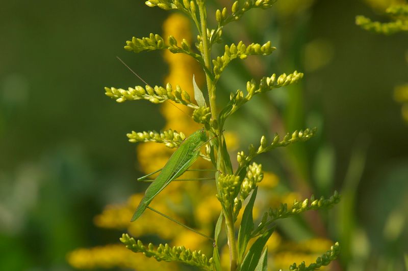 b0108186_20505375.jpg