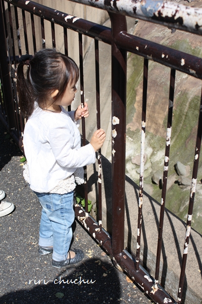b0205389_19113627.jpg