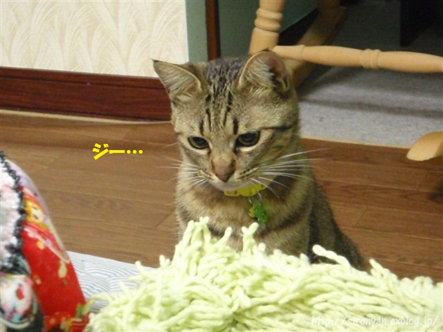 a0159490_10533035.jpg