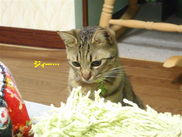 a0159490_10533365.jpg