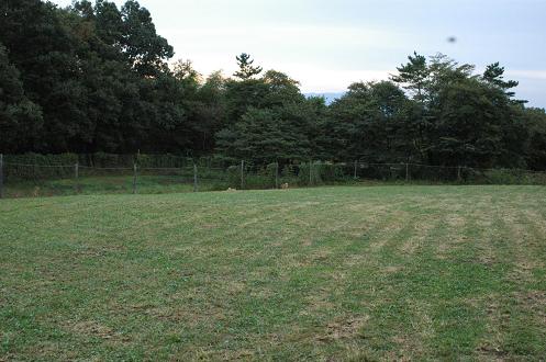 c0123890_17511579.jpg