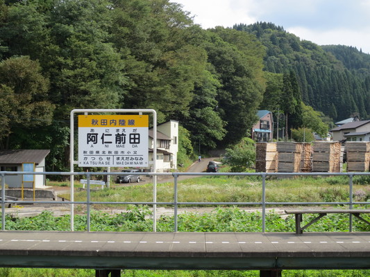 d0055395_2025793.jpg