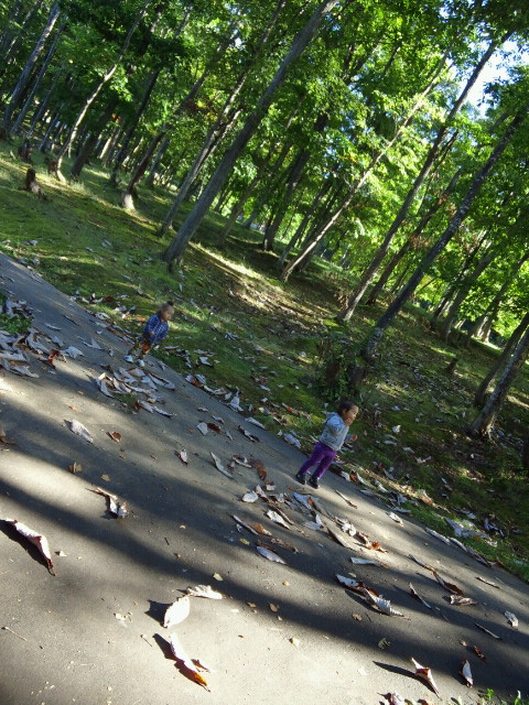 f0200795_22411413.jpg