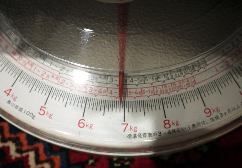 c0090198_135287.jpg