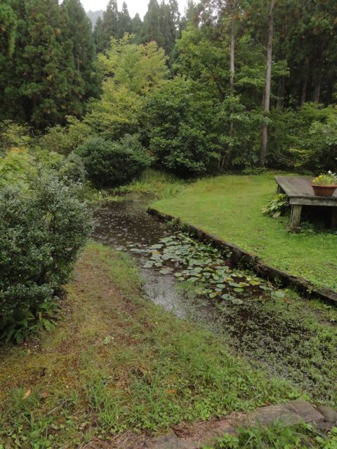 a0061599_7441422.jpg