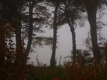 b0110999_173345.jpg