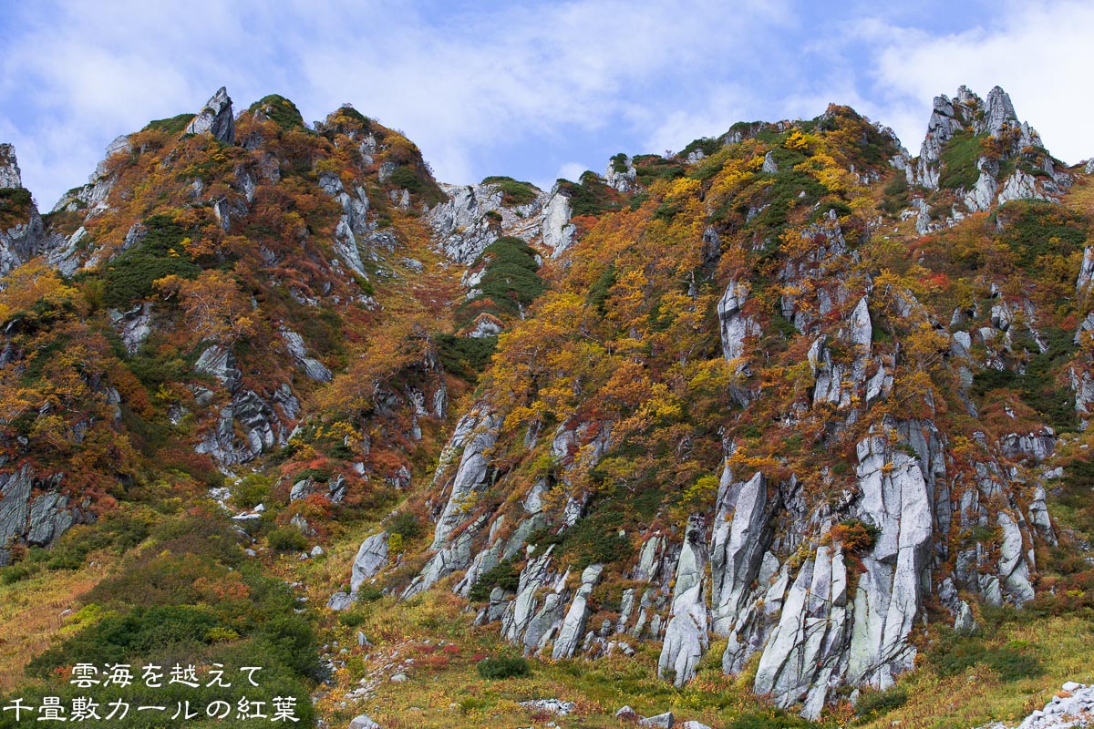 f0220502_20264146.jpg