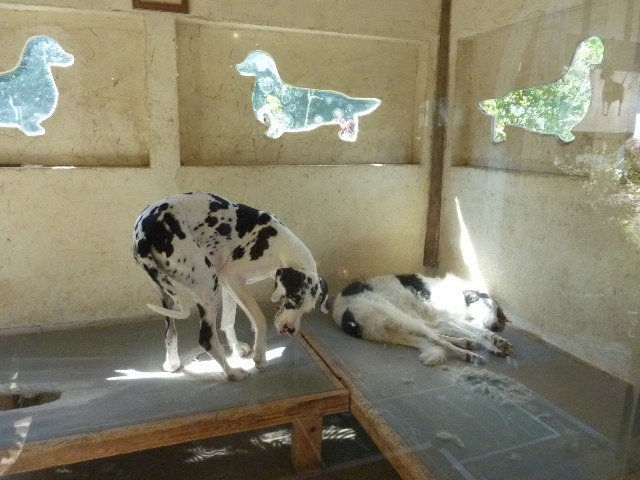 e0018604_2126120.jpg