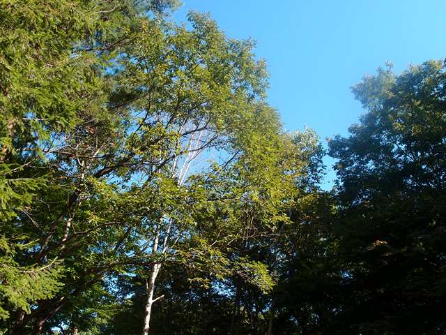 e0018604_2157548.jpg