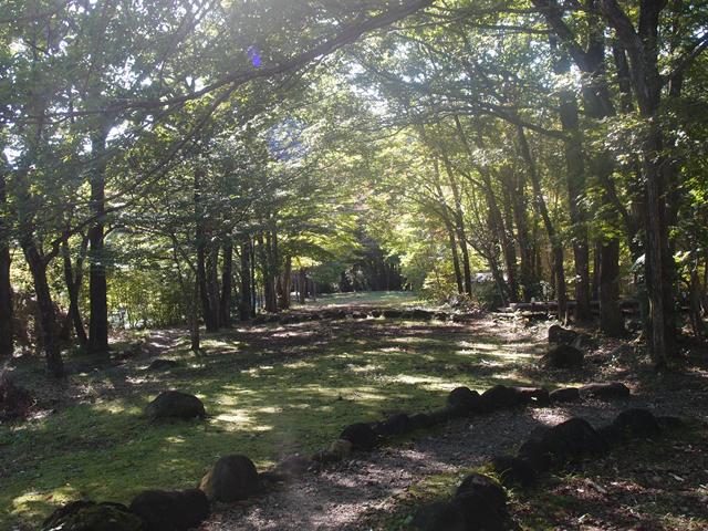 e0018604_21594361.jpg