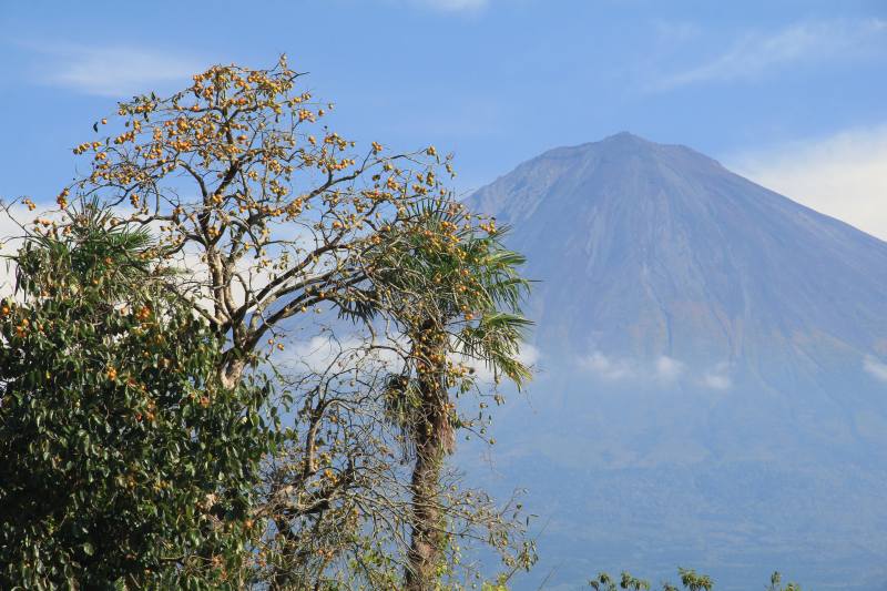 a0188405_1053468.jpg