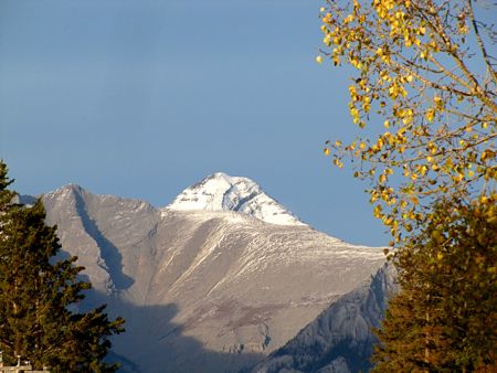 b0051109_1122689.jpg