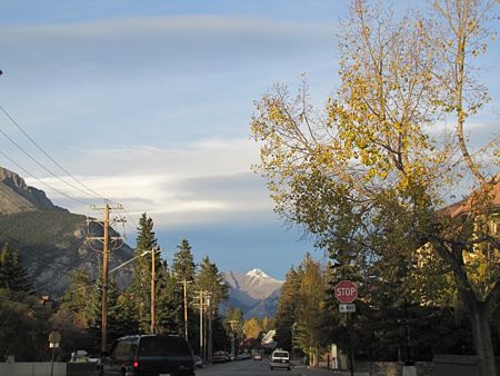 b0051109_11567.jpg