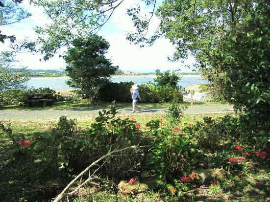 d0154609_13153273.jpg