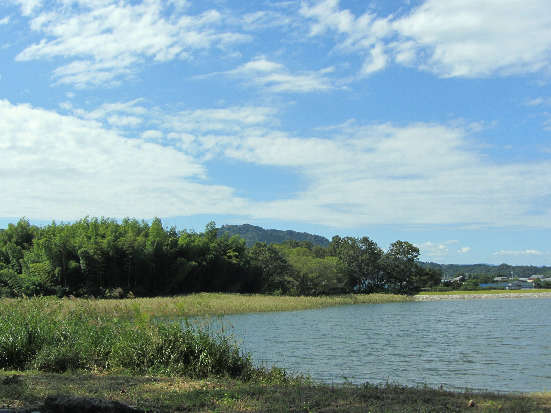 d0154609_13155228.jpg