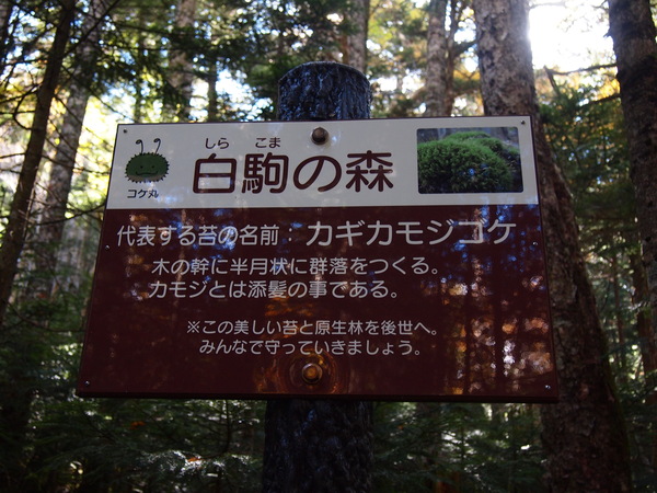 d0183417_23495591.jpg