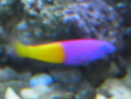 f0108825_107375.jpg