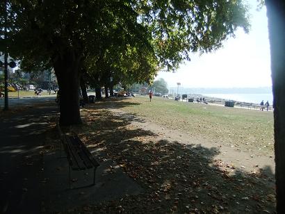 f0111926_6192337.jpg