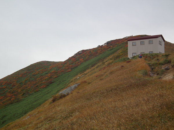 f0118332_22281914.jpg