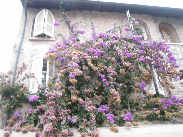 b0167334_1715488.jpg