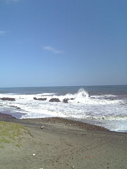 f0060535_1443683.jpg