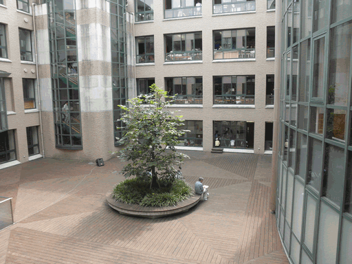 c0136736_16232061.gif