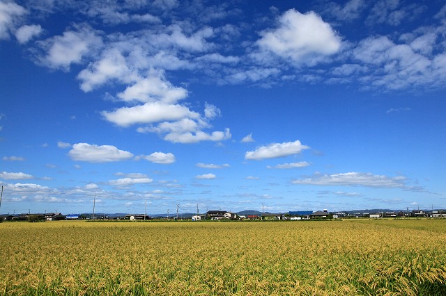 a0242438_19544733.jpg