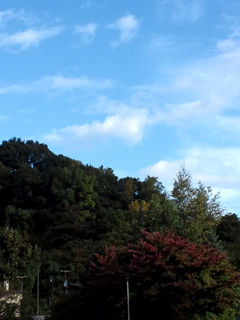 c0117239_12151287.jpg