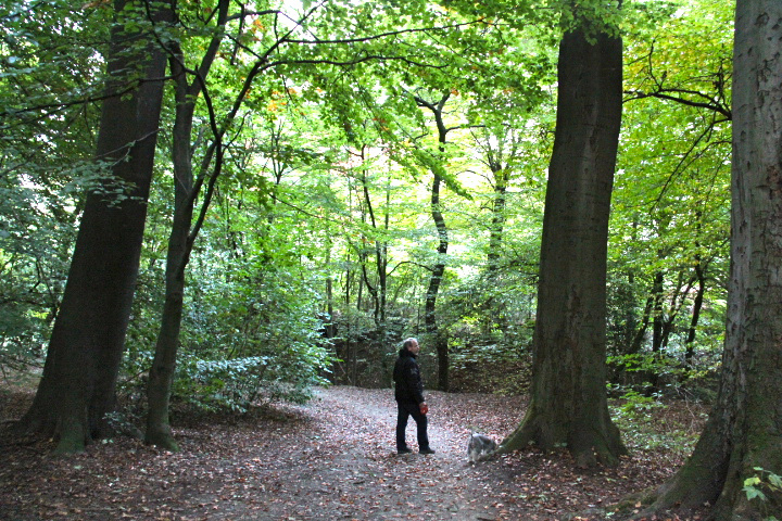 c0153740_5321431.jpg