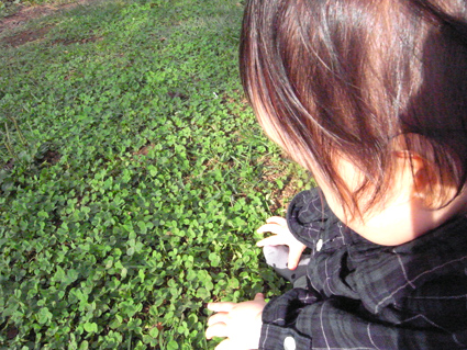 d0207540_1513746.jpg