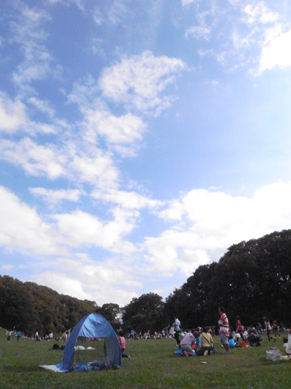 d0207540_1531758.jpg