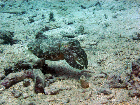 f0014842_17553856.jpg