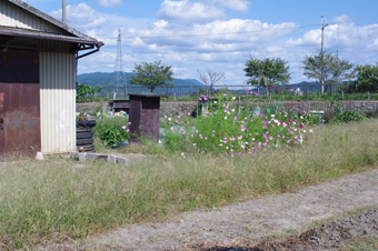 d0131851_8184472.jpg
